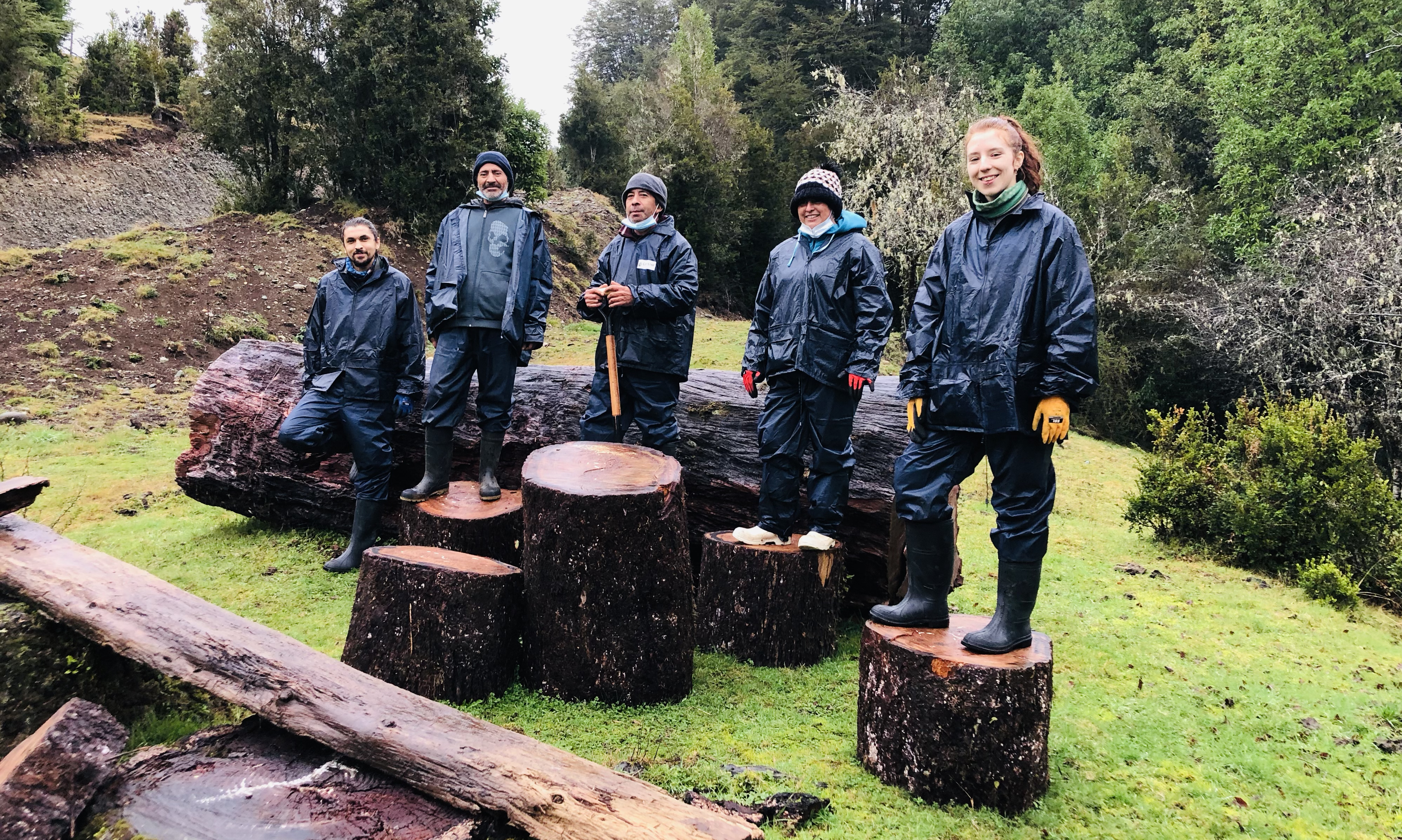 Festival Pala en Mano busca voluntarios para restaurar ecosistemas en la Isla Chiloé