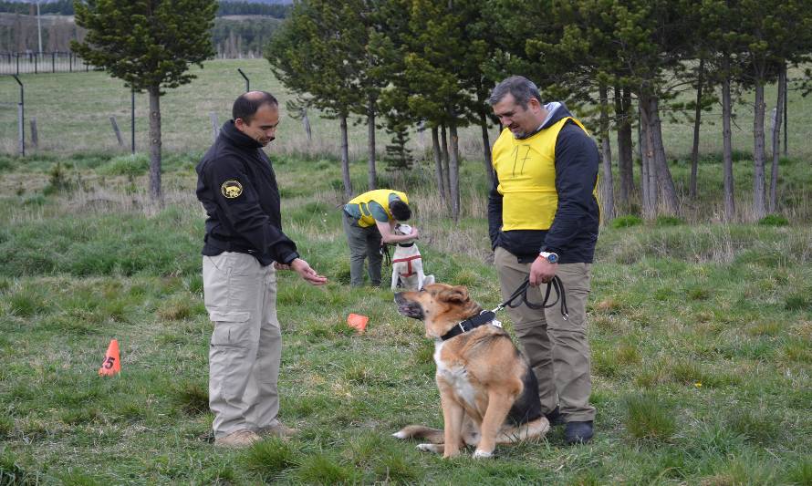 PDI realizó capacitación en adiestramiento básico para perros potencialmente peligrosos