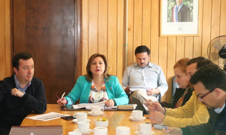 Gobierno refuerza agenda ProPymes, económica y social en la región de Aysén