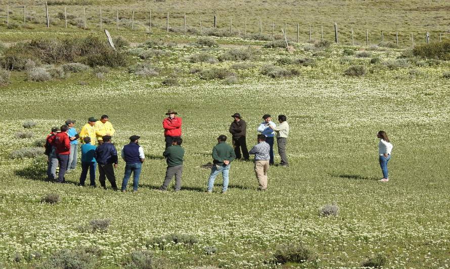 Laneros reciben madera para construir galpón de esquila comunitario