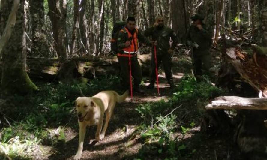 Continúan labores de búsqueda de hombre extraviado en sector Reserva Coyhaique