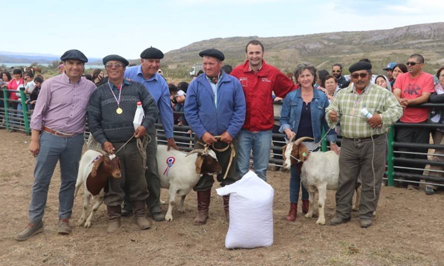 Buen clima y una gran cantidad de asistentes marcaron la III Fiesta del Chivo en Río Ibáñez