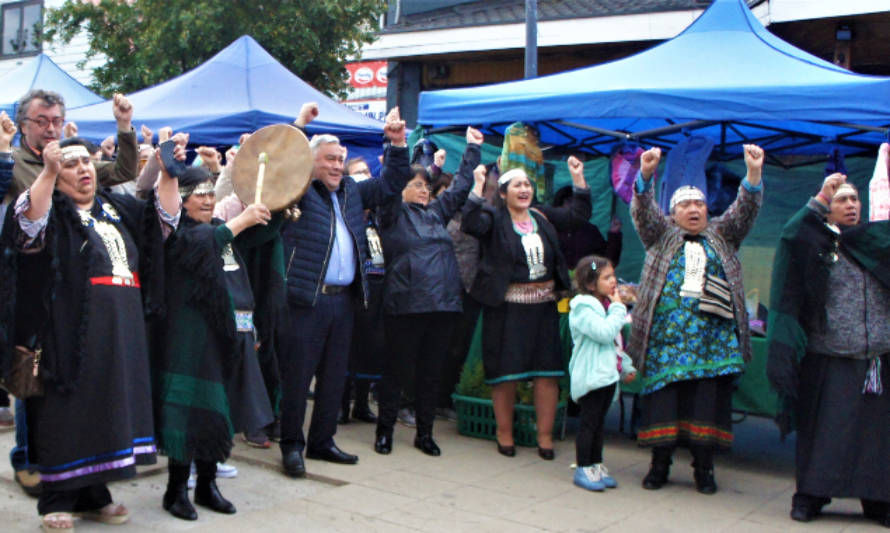 Invitana a la décima Feria Regional Mapuche en el paseo Horn