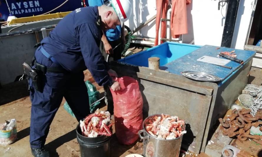 Autoridad Marítima incautó 32 kilos de patas centolla en Puerto Chacabuco