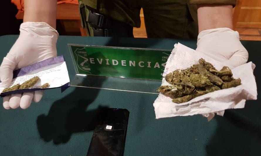 O.S.7 de Carabineros junto a Fiscalía sacan de circulación marihuana elaborada