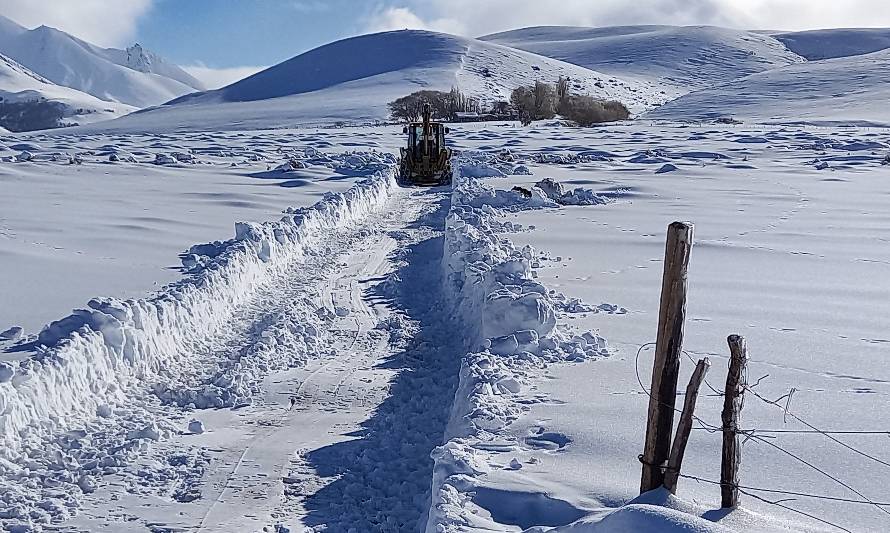 Alcalde de Chile Chico criticó al Gobierno por nula reacción en muerte de animales en El Ceballo