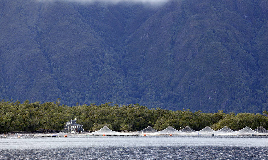 Subpesca espera reducir en un 30 % el número de concesiones de salmónidos en Los Lagos y Aysén