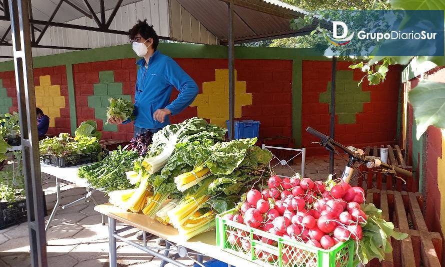 Feria libre en Paseo del Sol entusiasma a clientes y emprendedores