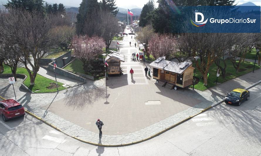 50 árboles nativos para Plaza de Armas de Coyhaique