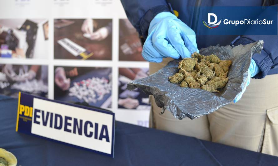 Detienen a dos imputados por microtráfico y PDI incauta 350 dosis de cannabis en Coyhaique