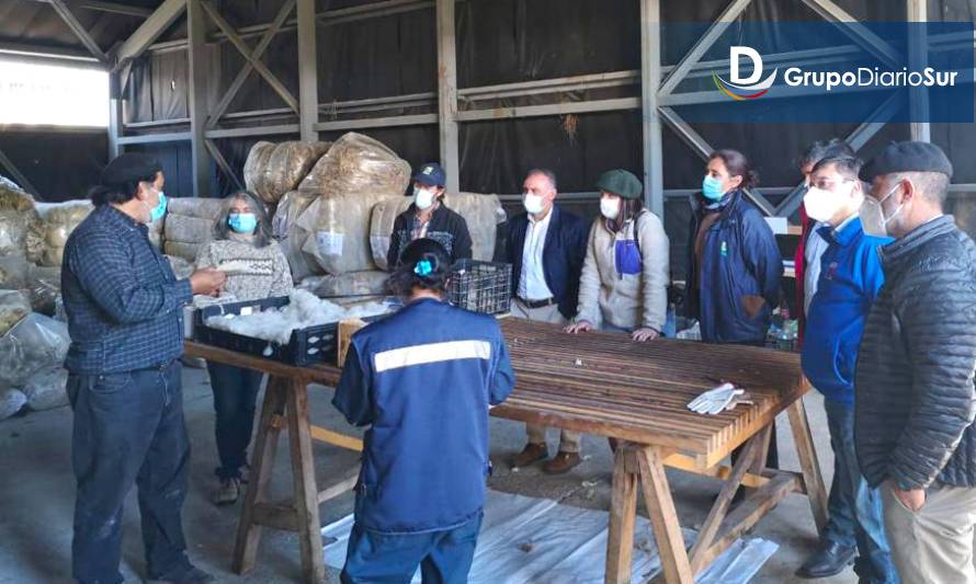 Nodo Exportación de lanas Aysén cierra actividades acentuando trabajo asociativo