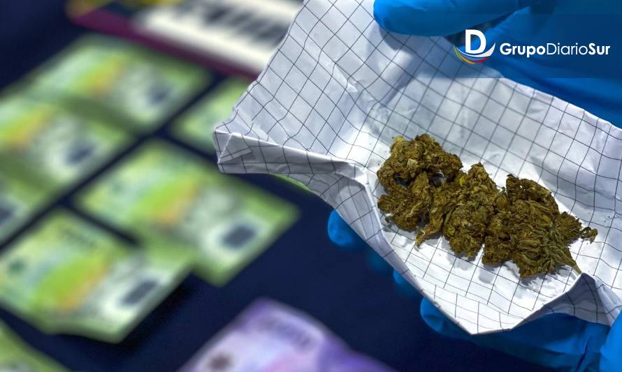 PDI detiene a sujeto por delito flagrante de microtráfico de marihuana en Puerto Aysén