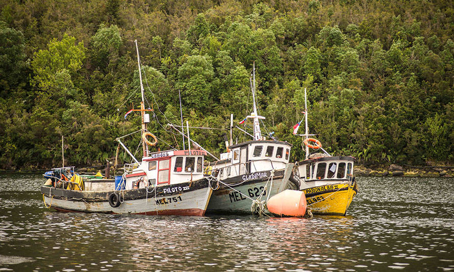 Por un voto: pescadores de Aysén aprueban renovar acuerdo de zona contigua con Los Lagos