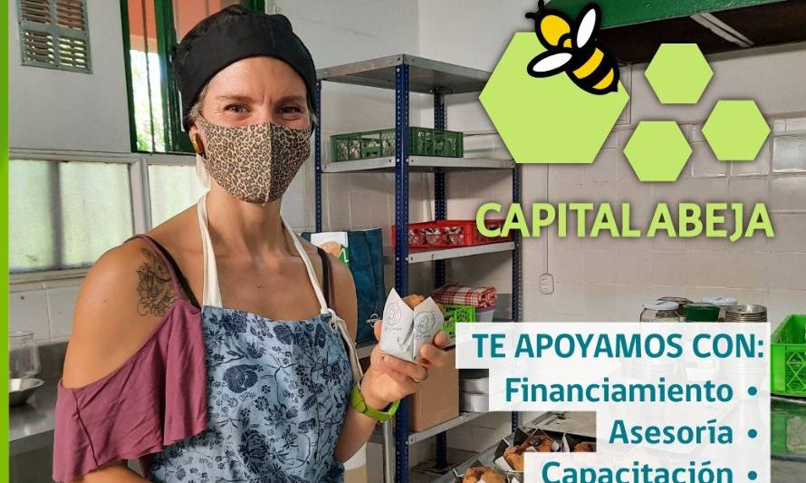 Ya está disponible postulación al Capital Abeja Emprende 2021 de Sercotec