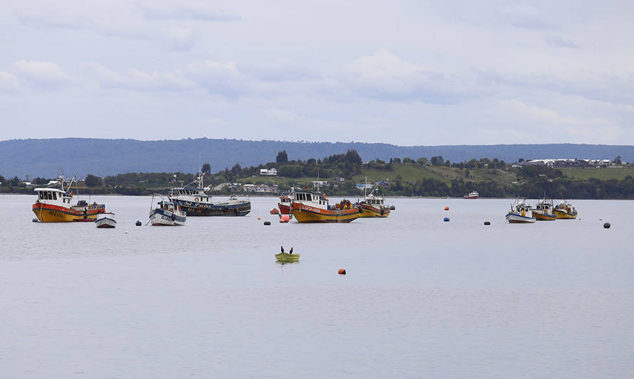 Pescadores artesanales critican al Gobierno por falta de apoyo a las caletas