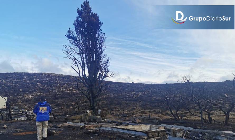 PDI investiga las causas del incendio del Parque Patagonia
