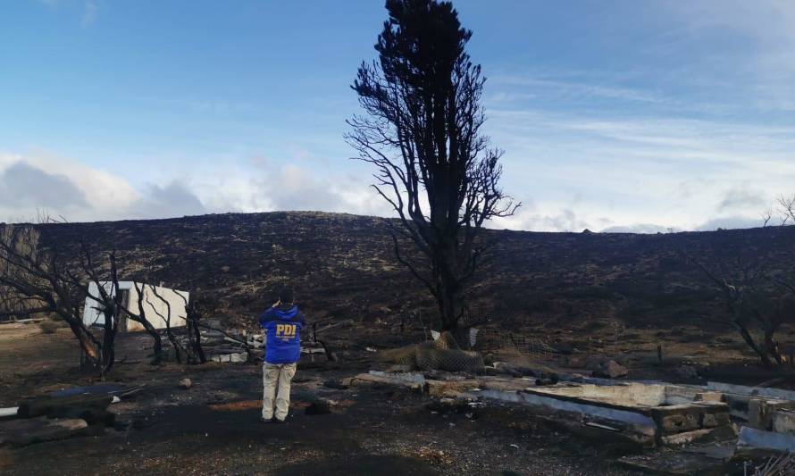 Investigación reveló dónde comenzó incendio en Parque Nacional Patagonia 