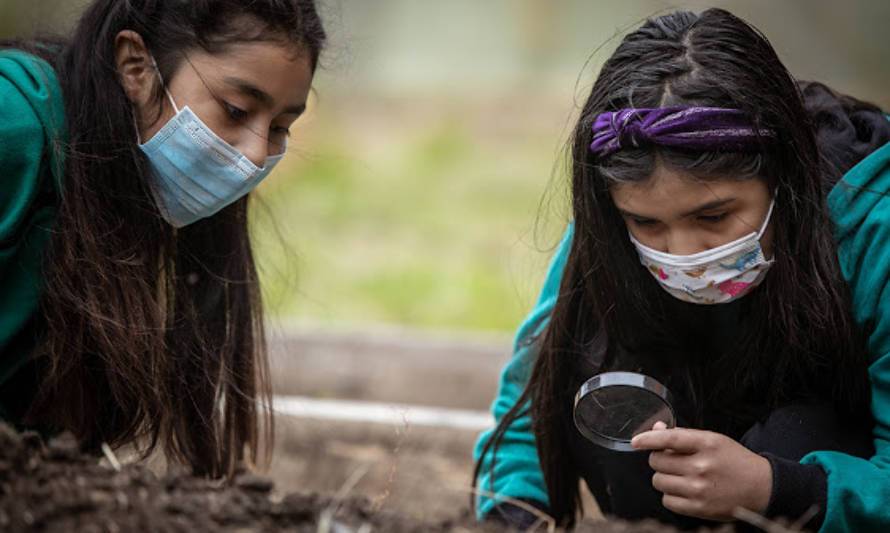 Huertos demostrativos en Aysén, un paso adelante en educación ambiental