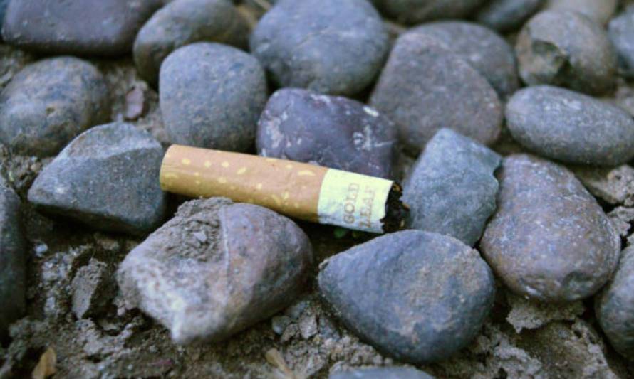 “Chao colillas”: llega al Senado proyecto que prohíbe fumar en playas, lagos y ríos