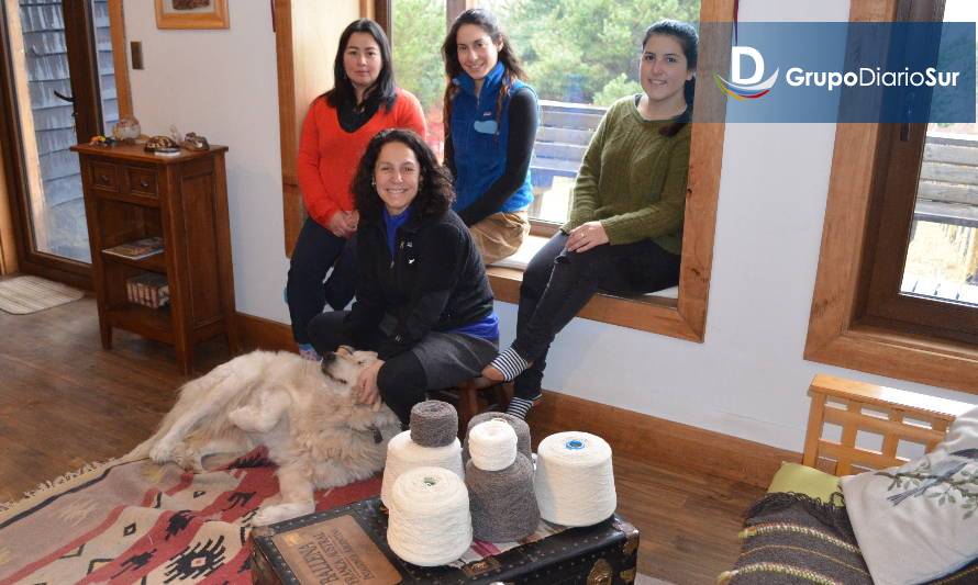 Tres proyectos de Aysén fueron destacados en "campeonato de emprendimientos"