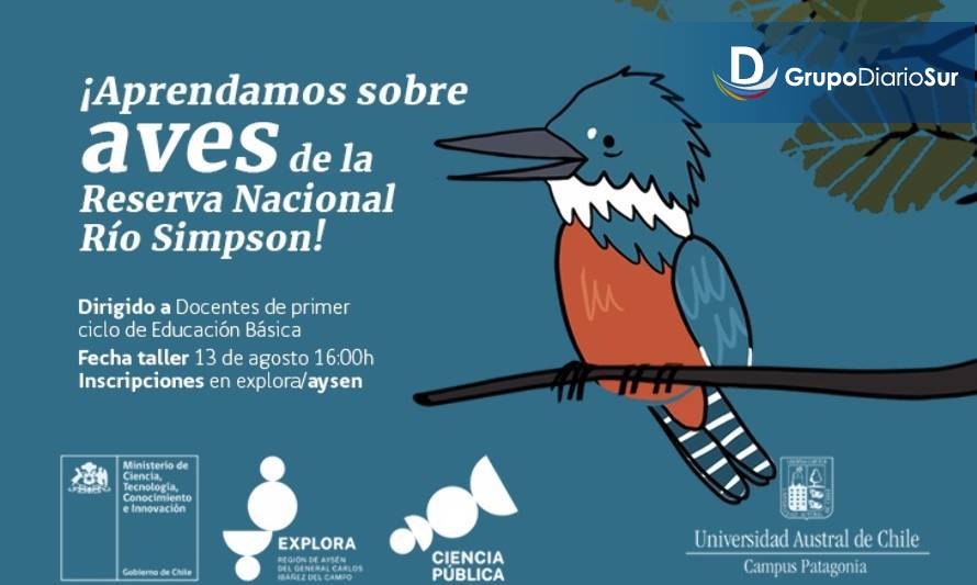 Abren inscripciones para taller sobre aves de la Reserva Nacional Río Simpson