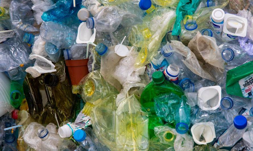 Cuatro ideas simples para eliminar el plástico del hogar