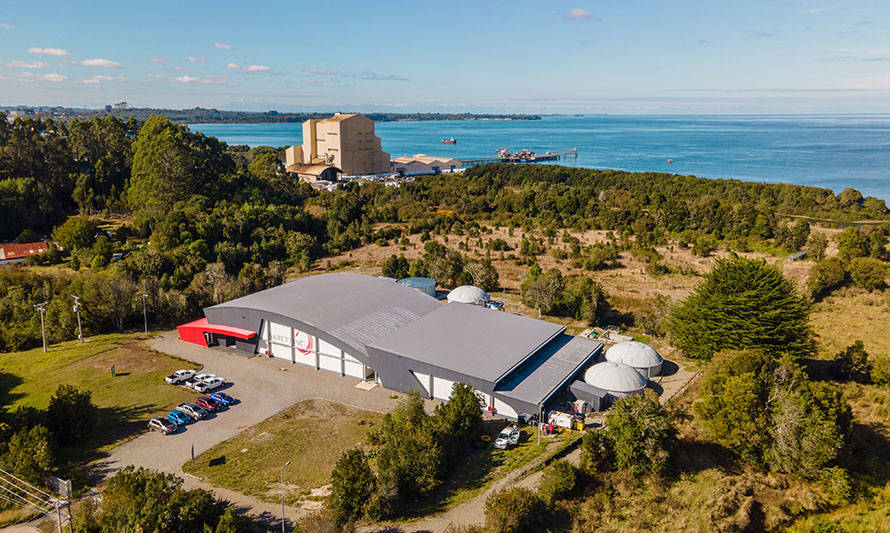 Acuicultura sustentable: las iniciativas de Skretting Chile para mejorar sus índices de eficiencia energética