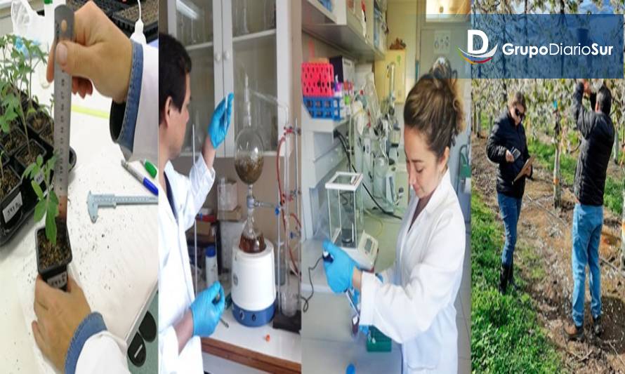 Abren postulaciones para Doctorado en Ciencias de la Agronomía de la U. de Concepción