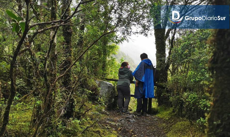 ¡Naturalist o cómo CONAF realiza monitoreo participativo