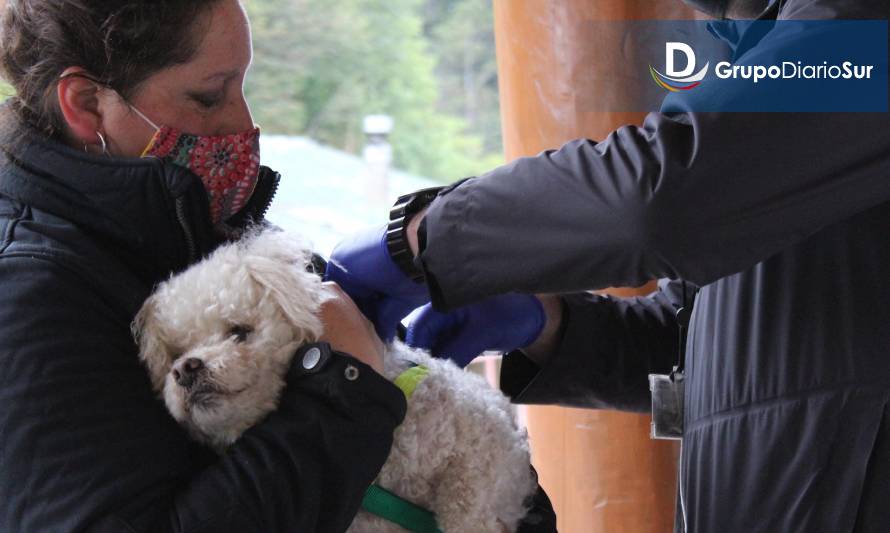 Realizaron vacunación y desparasitación de mascotas en Tortel