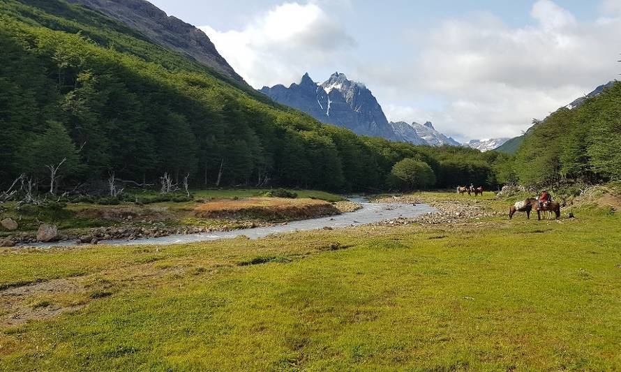 Anuncian proyecto que busca convertir a las Torres del Avellano como Bien Nacional Protegido