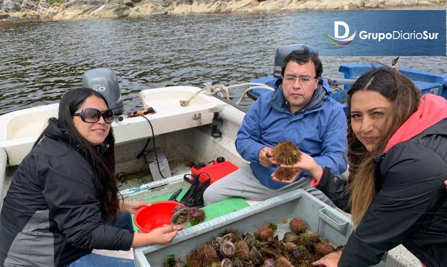 Gala Tour, una opción de turismo natural en Cisnes