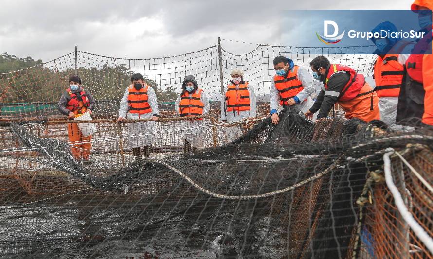 Autoridades del Trabajo instan a continuar con protocolos sanitarios laborales