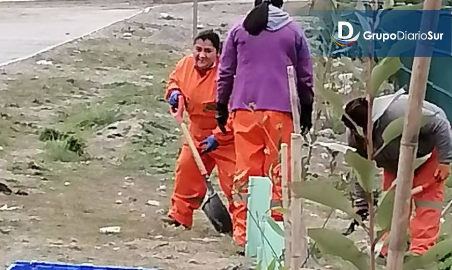 Conaf le da vida a Cochrane arborizando la ciudad 