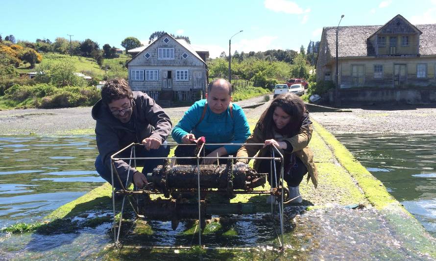 Buscan conocer los diferentes usos del suelo en cuencas de Chiloé y sus impactos en la costa y la acuicultura