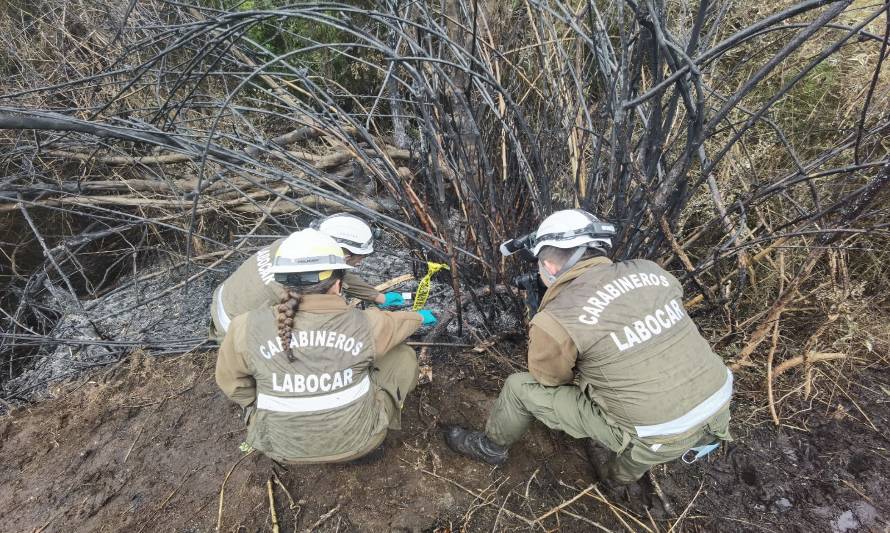 Encuentran muestras biológicas donde comenzó incendio de Castro