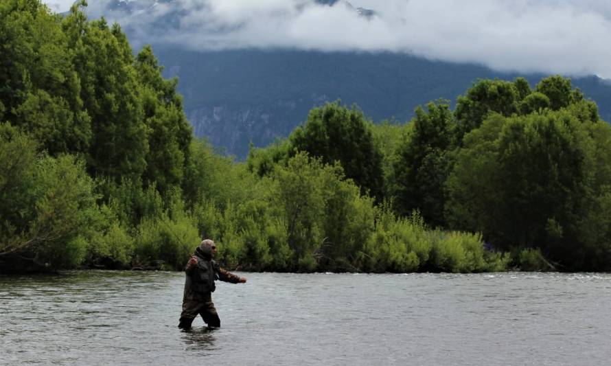 Comenzó veda biológica del salmón chinook en la región de Aysén