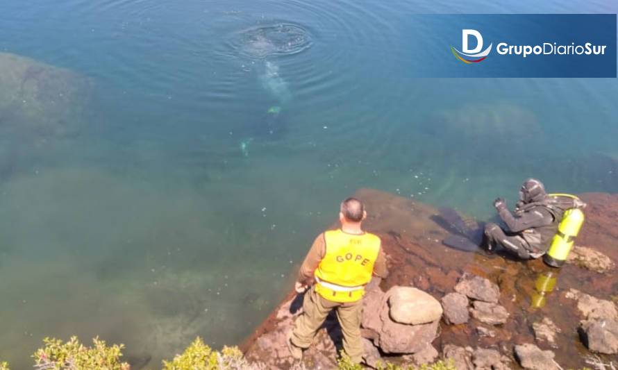 Rescatan en lago Las Ardillas cuerpo sin vida de un joven 