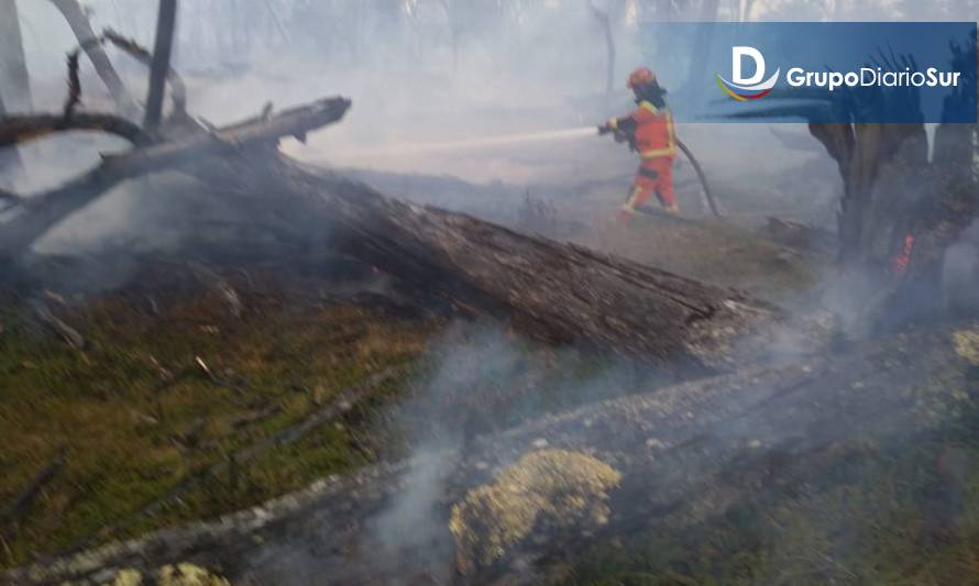 Onemi declara alerta temprana preventiva en Aysén por incendios forestales