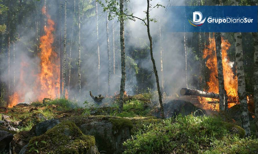 Incendios forestales han aumentado un 31% en Aysén