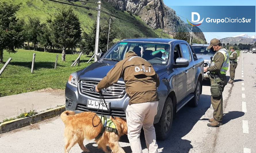 Con perros entrenados Carabineros controlan en distintos sectores de Coyhaique
