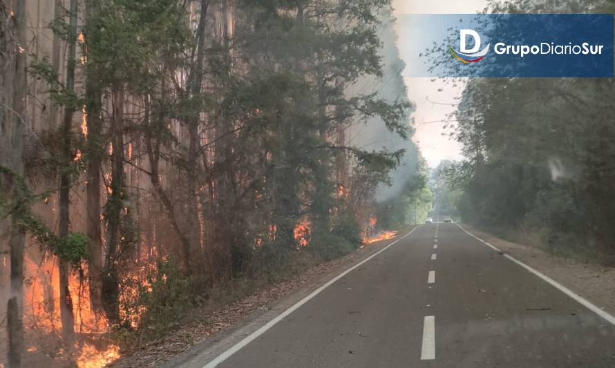 Aysén registra 34 incendios forestales en lo que va de temporada