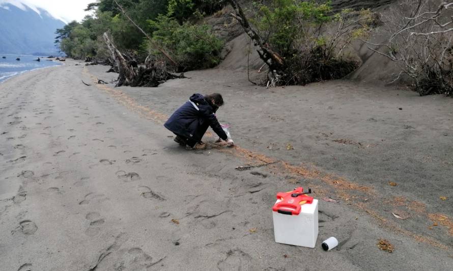 Por varazón de Krill: Sernapesca Aysén realizó toma de muestras