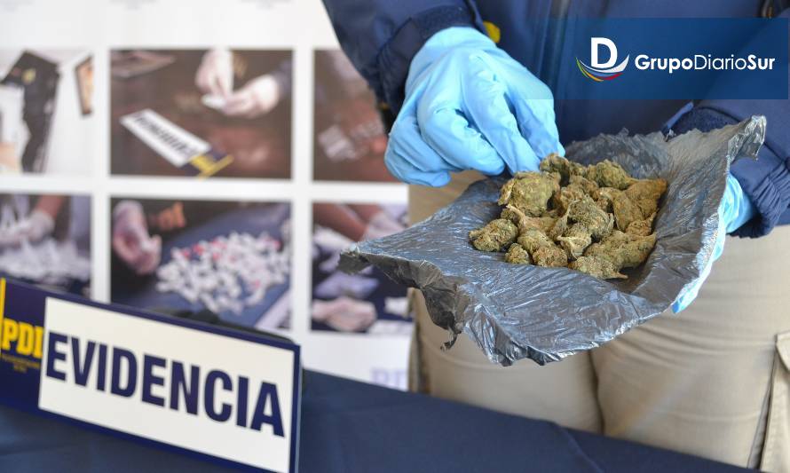 PDI Aysén incautó durante 2021 más de 20 mil dosis de cannabis sativa y cocaína