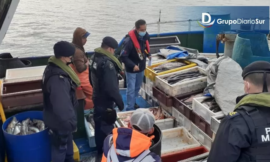 Incautaron casi 5 toneladas de productos del mar