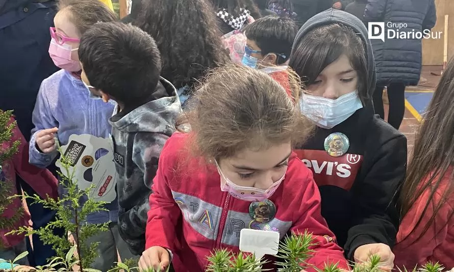 Con educación medio ambiental celebraron en Aysén el Día Mundial del Árbol