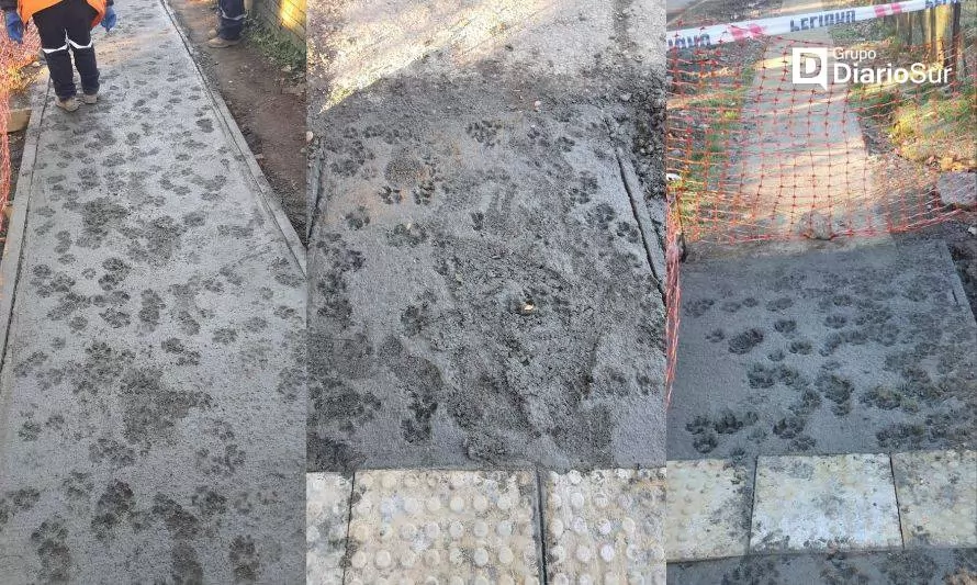 Denuncian deterioros en pavimentación de aceras en Aysén