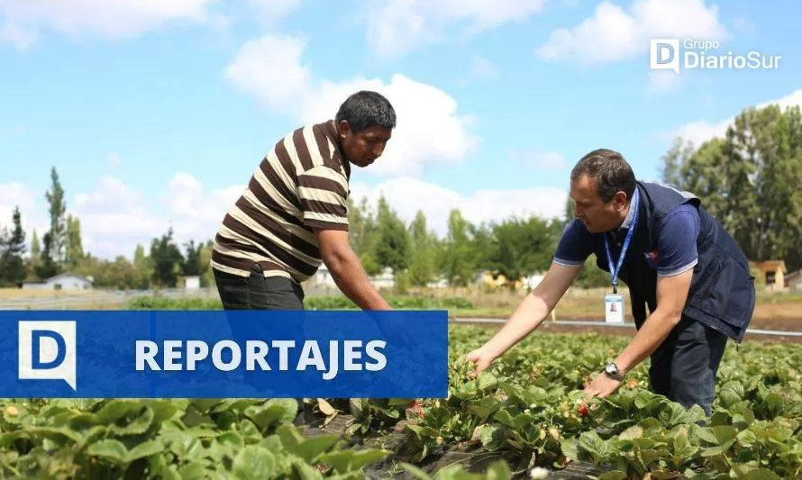 Hasta cinco meses sin sueldo: la cruda realidad de los trabajadores rurales de Prodesal