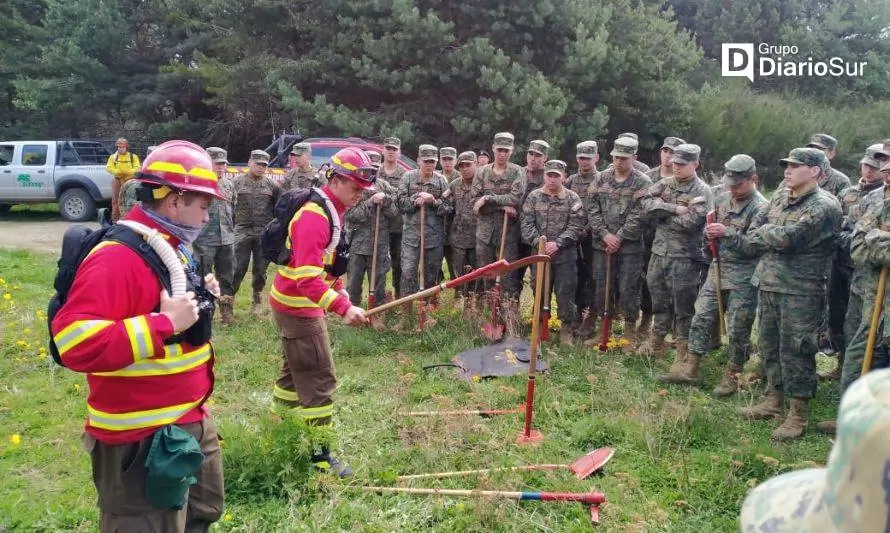 Personal de Ejército se capacita para combatir incendios forestales