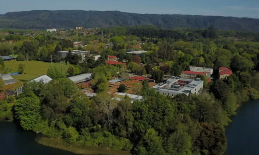 UACh entre las 4 universidades mejor evaluadas de Chile